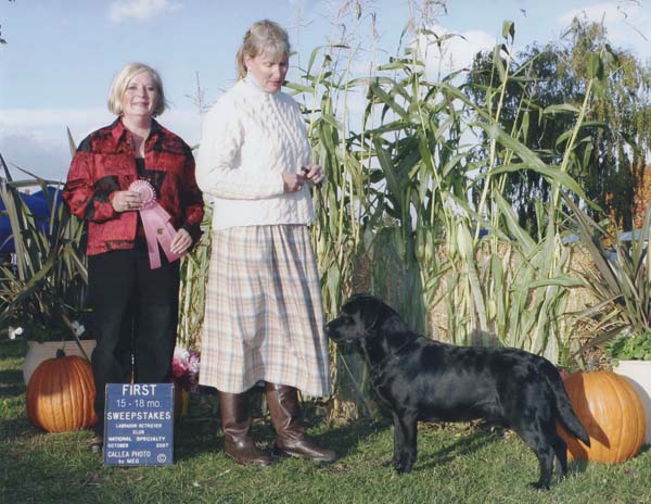 Marstad Boston Lager